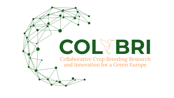 Colibri Logo