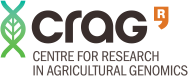Crag Logo
