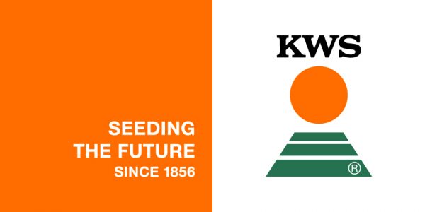 Kws Logo