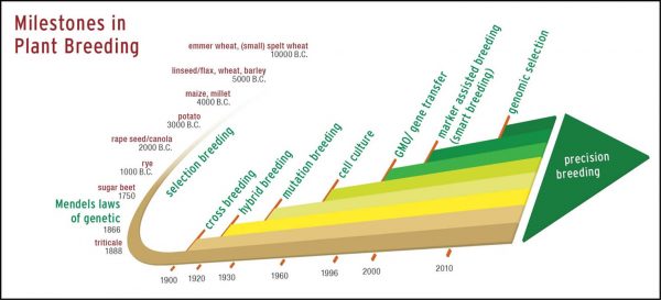 Milestones In Plant Breeding