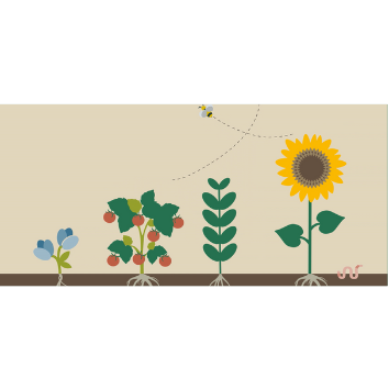 biodiversity