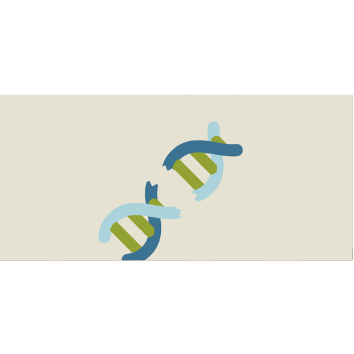 dna break