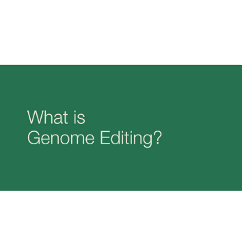 Genome Editing Explained