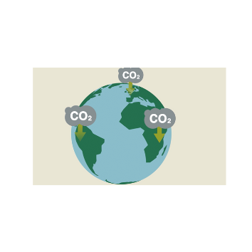 CO2