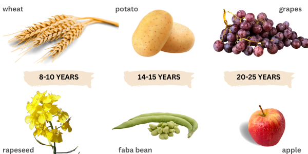 Breeding Times