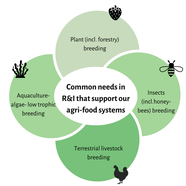Common Needs In Ri Intersectoral Breeding