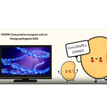Crispr