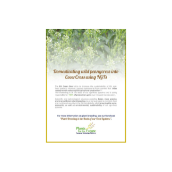 Factsheet