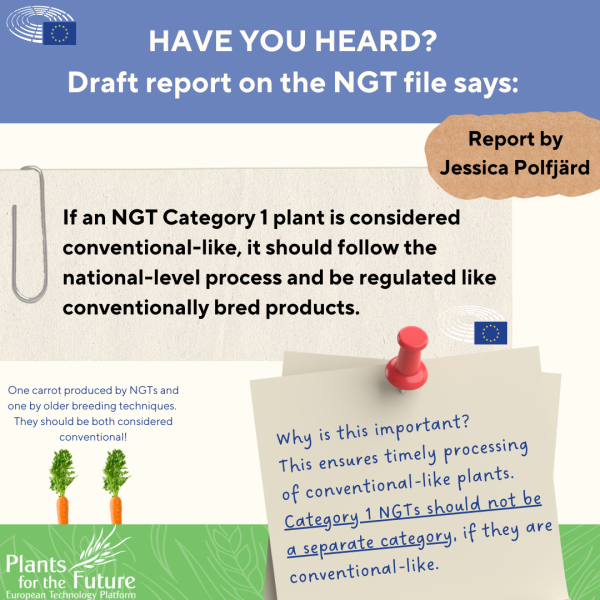 Ngt File Draft Report