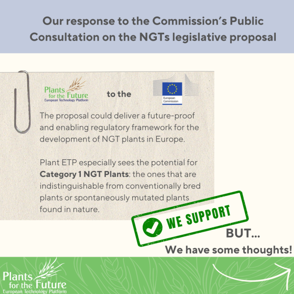 Ngt File Response