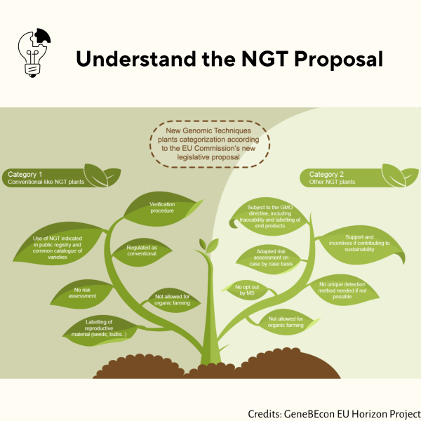 Understand Ngt Proposal