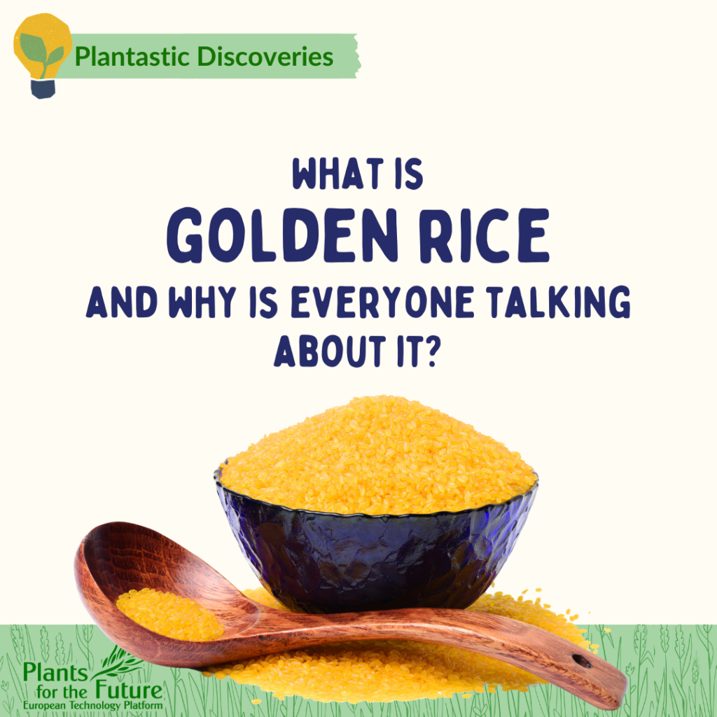 Information Hub Plant ETP information-hub-plant-etp