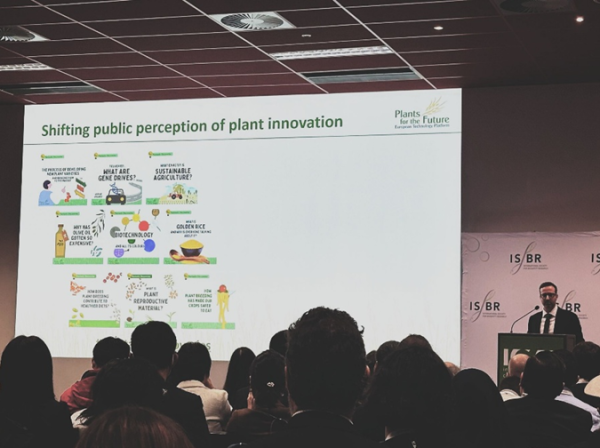 17th Isbr Symposium 2