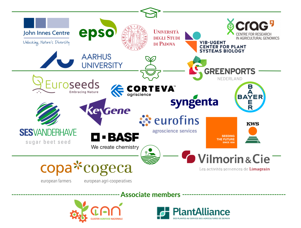 Member Homepage Summary Pic