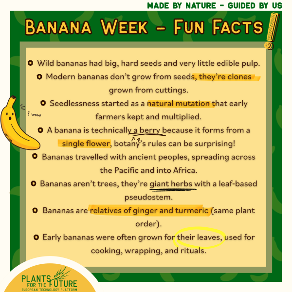 Banana Fun Facts