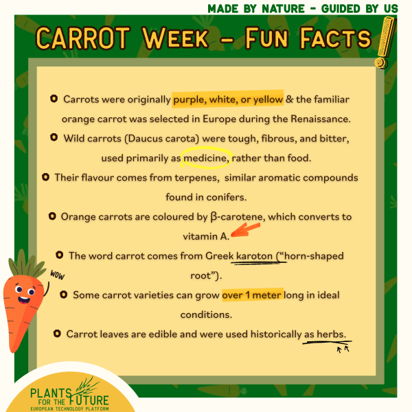 Carrot Fun Facts Copy