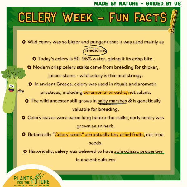 Celery Fun Facts