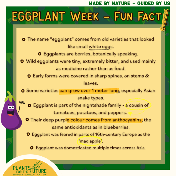 Eggplant Fun Facts