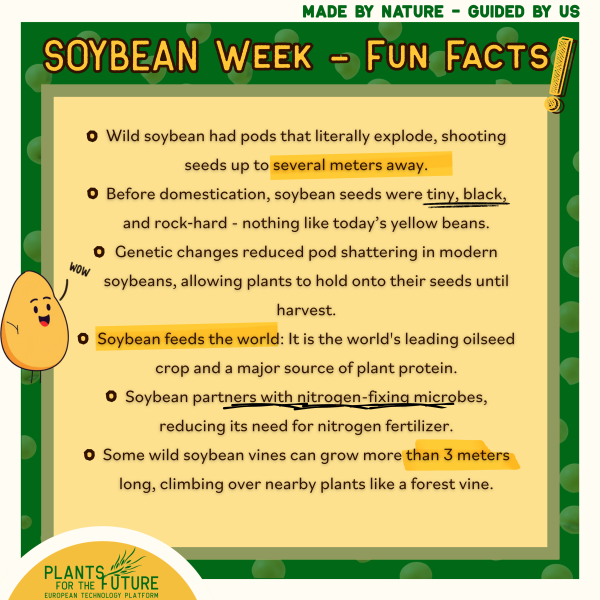 Soybean Fun Facts